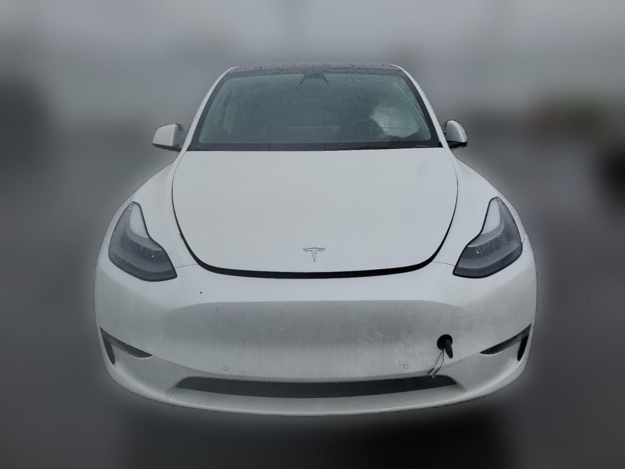 2022 TESLA MODEL Y  VIN:7SAYGDEF3NF364802