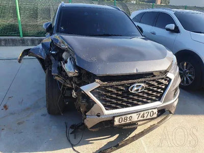 2019 Hyundai Tucson KMHJ3817GKU946256 VIN:KMHJ3817GKU946256
