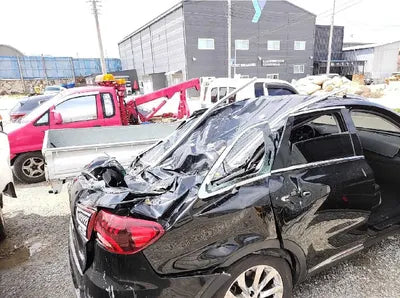 2019 Kia Sorento 315KMKNAPG81BBKA5 VIN:315KMKNAPG81BBKA5