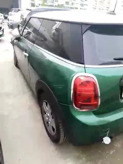 2020 MINI Cooper WMWXR7105M2N31004 VIN:WMWXR7105M2N31004
