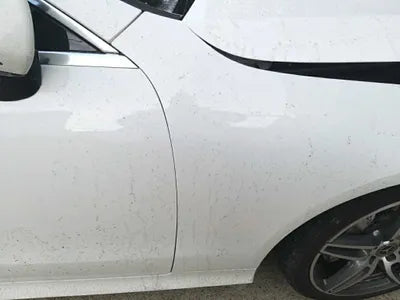 2019 Mercedes-Benz E 220 WDD1J1EB6KF073347 VIN:WDD1J1EB6KF073347