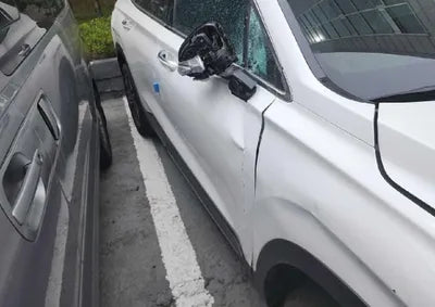 2019 Hyundai Santa FE KMHS381BBKU157042 VIN:KMHS381BBKU157042
