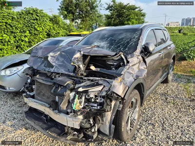 2020 Hyundai Santa FE KMHS381HGMU330317 VIN:KMHS381HGMU330317