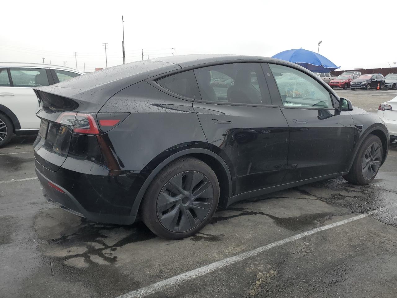 2024 TESLA MODEL Y  VIN:7SAYGDED3RF126646