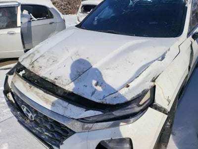 2019 Hyundai Santa FE KMHS381ABKU177949 VIN:KMHS381ABKU177949