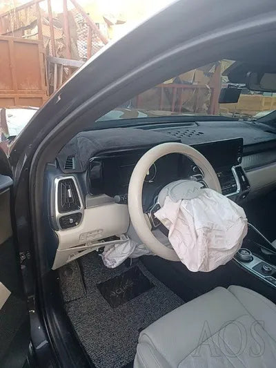 2022 Kia Sorento KNARF81GBNA119324 VIN:KNARF81GBNA119324