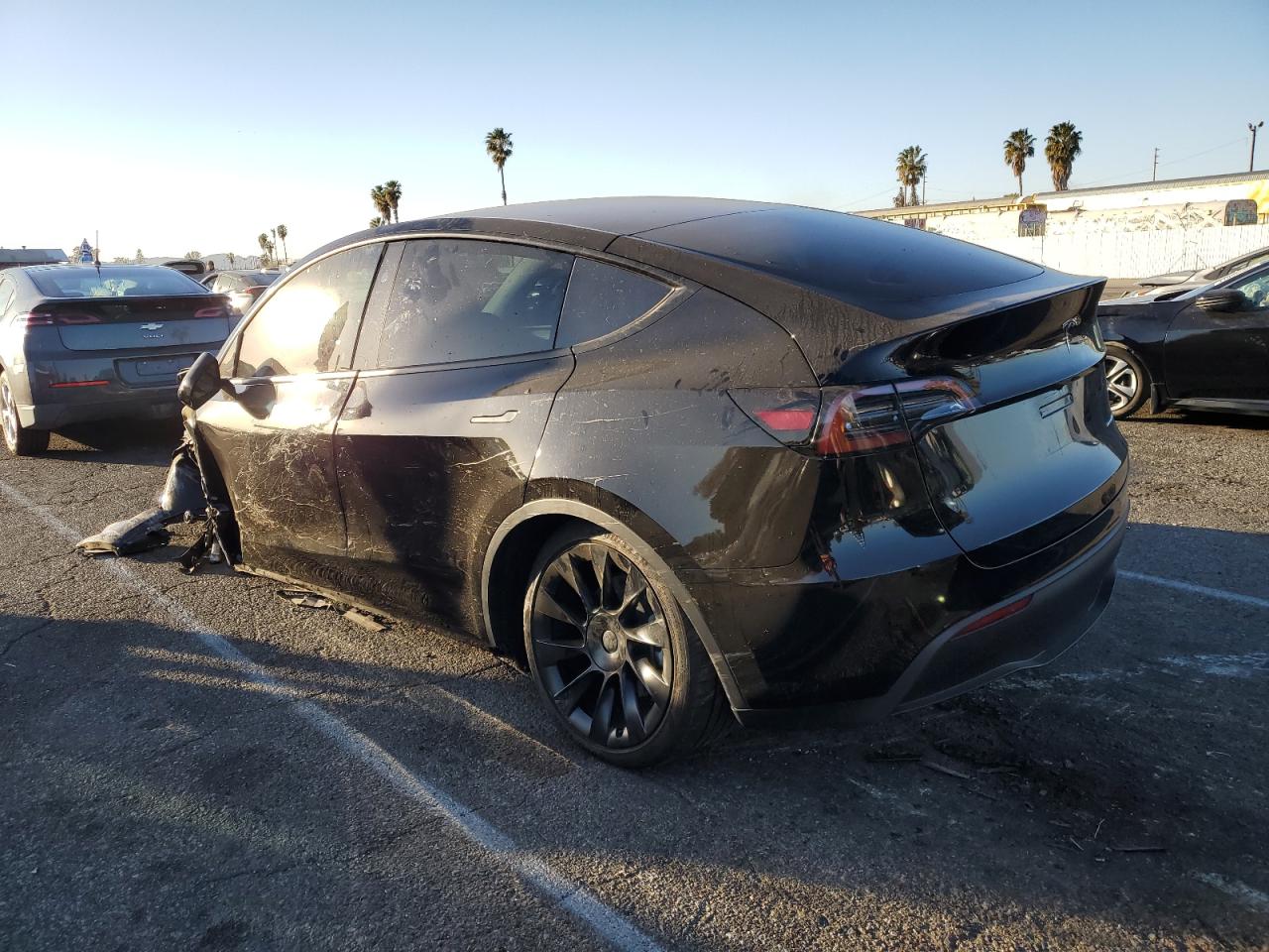 2024 TESLA MODEL Y  VIN:7SAYGDEE8RA231933