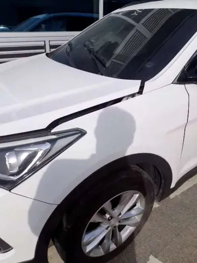 2018 Hyundai Santa FE KMHSW81UBJU855242 VIN:KMHSW81UBJU855242