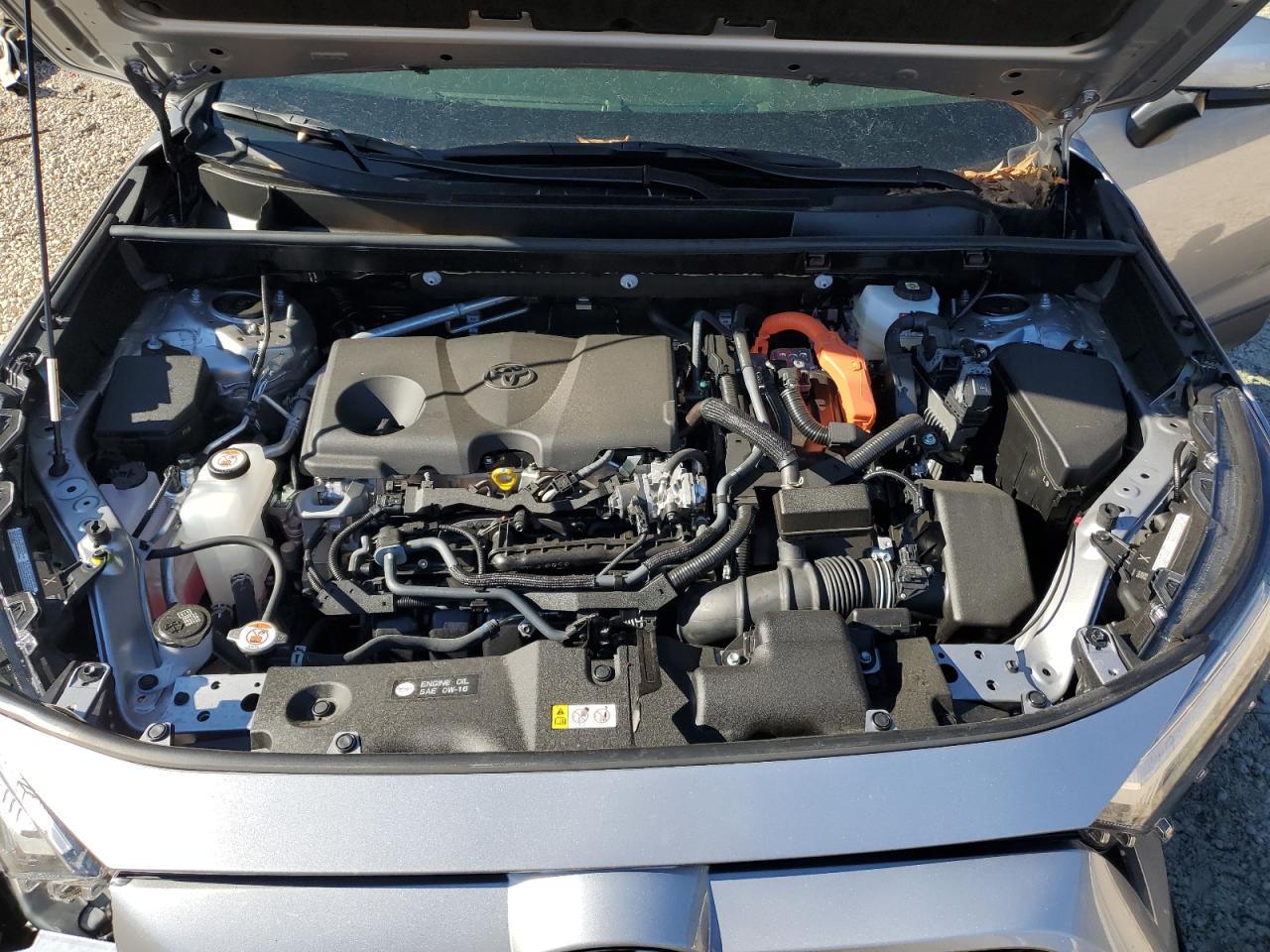 2024 TOYOTA RAV4 XLE VIN:JTMRWRFV4RJ059847