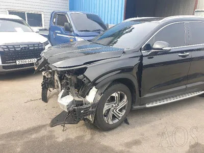 2021 Hyundai Santa FE KMHS281HHMU395114 VIN:KMHS281HHMU395114
