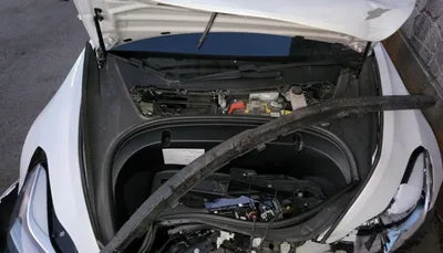 2020 Tesla Model 3 5YJ3E1EB7LF733537 VIN:5YJ3E1EB7LF733537