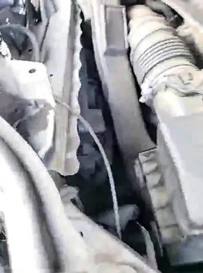 2019 Lexus ES 300 JTHB21B12K2049785 VIN:JTHB21B12K2049785