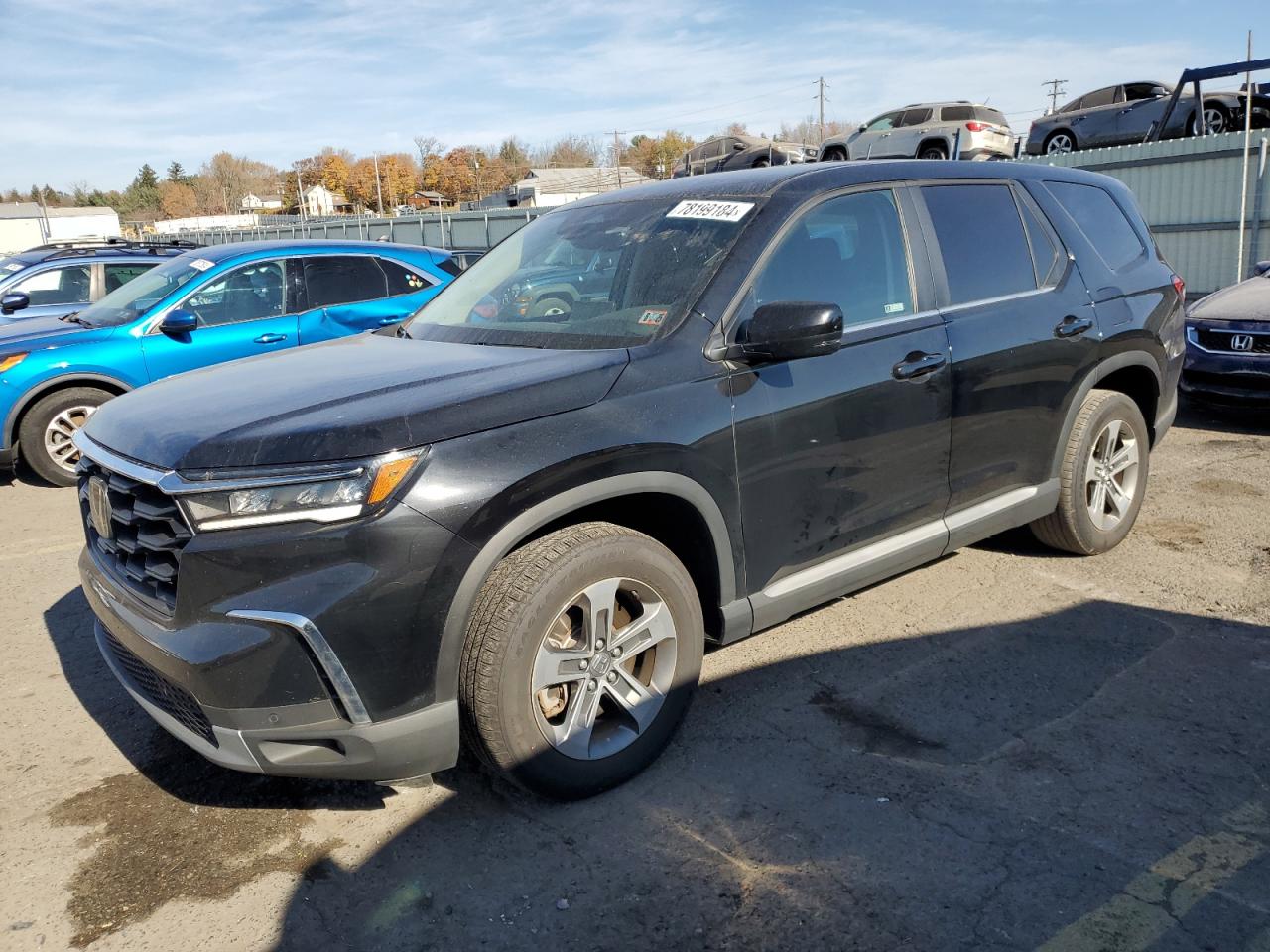 2023 HONDA PILOT EXL VIN:5FNYG1H53PB044073