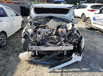 2019 Hyundai Ioniq KMHC851CGKU117393 VIN:KMHC851CGKU117393