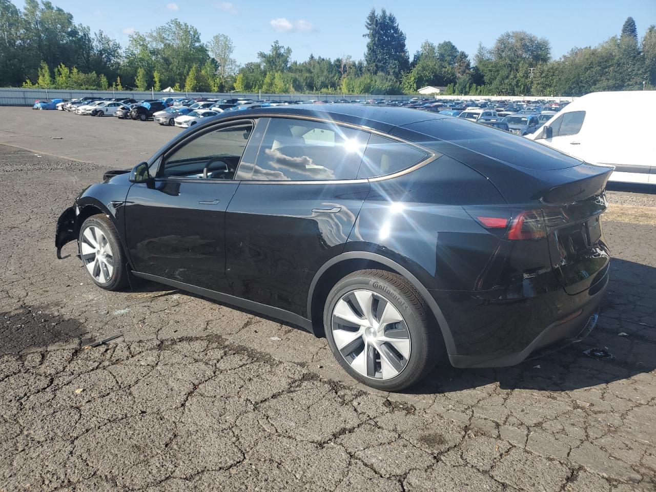 2024 TESLA MODEL Y  VIN:7SAYGDEE4RF075098