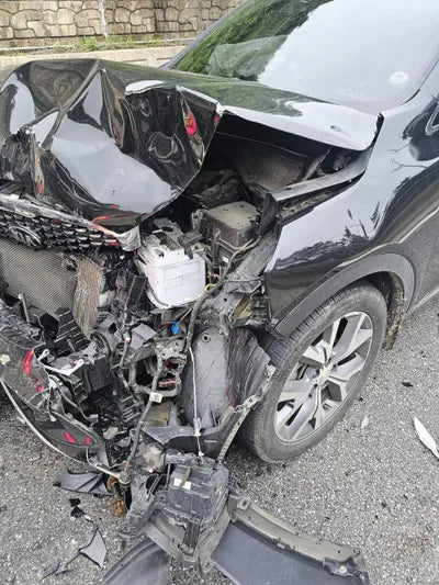 2017 Kia Sorento KNAPS81ABJA391504 VIN:KNAPS81ABJA391504