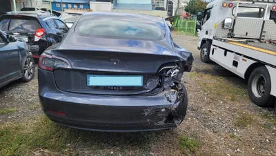 2020 Tesla Model 3 5YJ3E1EB9LF725407 VIN:5YJ3E1EB9LF725407