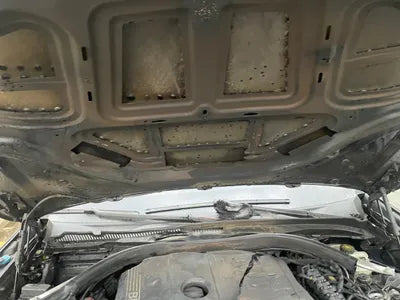 2020 BMW 530 WBAJR5105LWW73970 VIN:WBAJR5105LWW73970