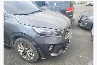 2019 Kia Sorento KNAPS81BBKA499609 VIN:KNAPS81BBKA499609