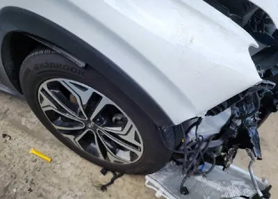 2019 Hyundai Santa FE KMHS381ADKU169994 VIN:KMHS381ADKU169994