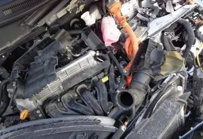 2021 Hyundai Kona KMHK381EGNU076135 VIN:KMHK381EGNU076135