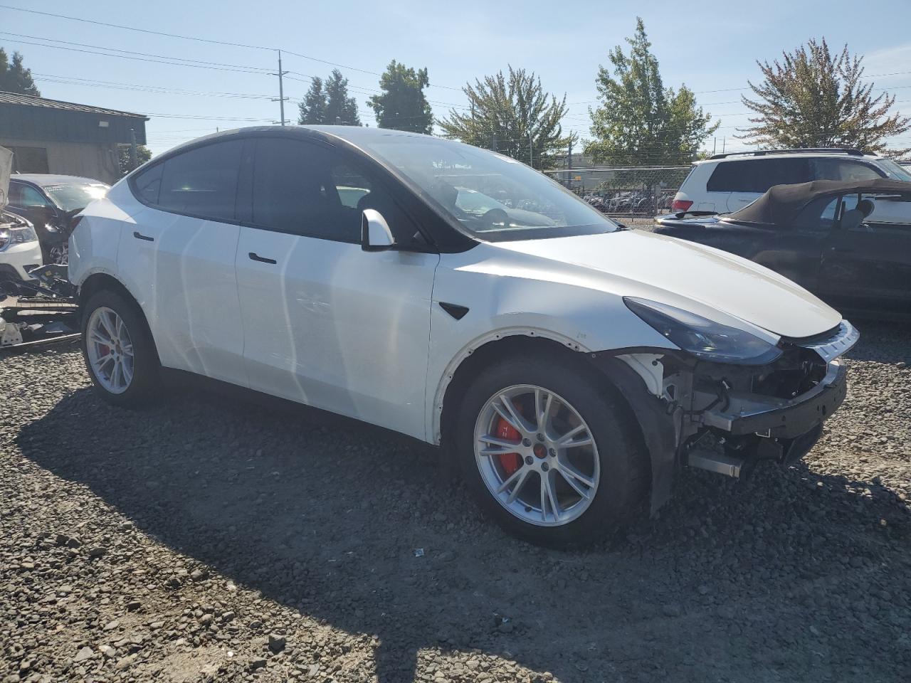 2023 TESLA MODEL Y  VIN:7SAYGDEE1PF812593