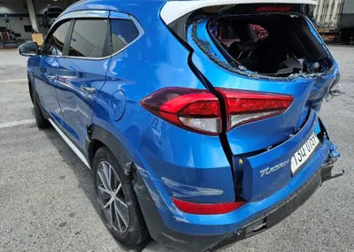2017 Hyundai Tucson KMHJ3815GHU225196 VIN:KMHJ3815GHU225196