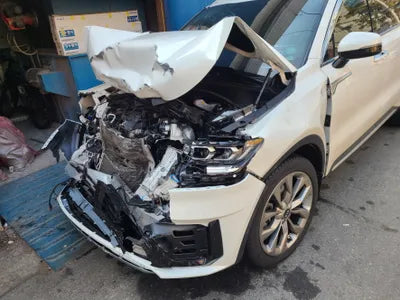 2021 Kia Sorento KNARL81BGMA039006 VIN:KNARL81BGMA039006