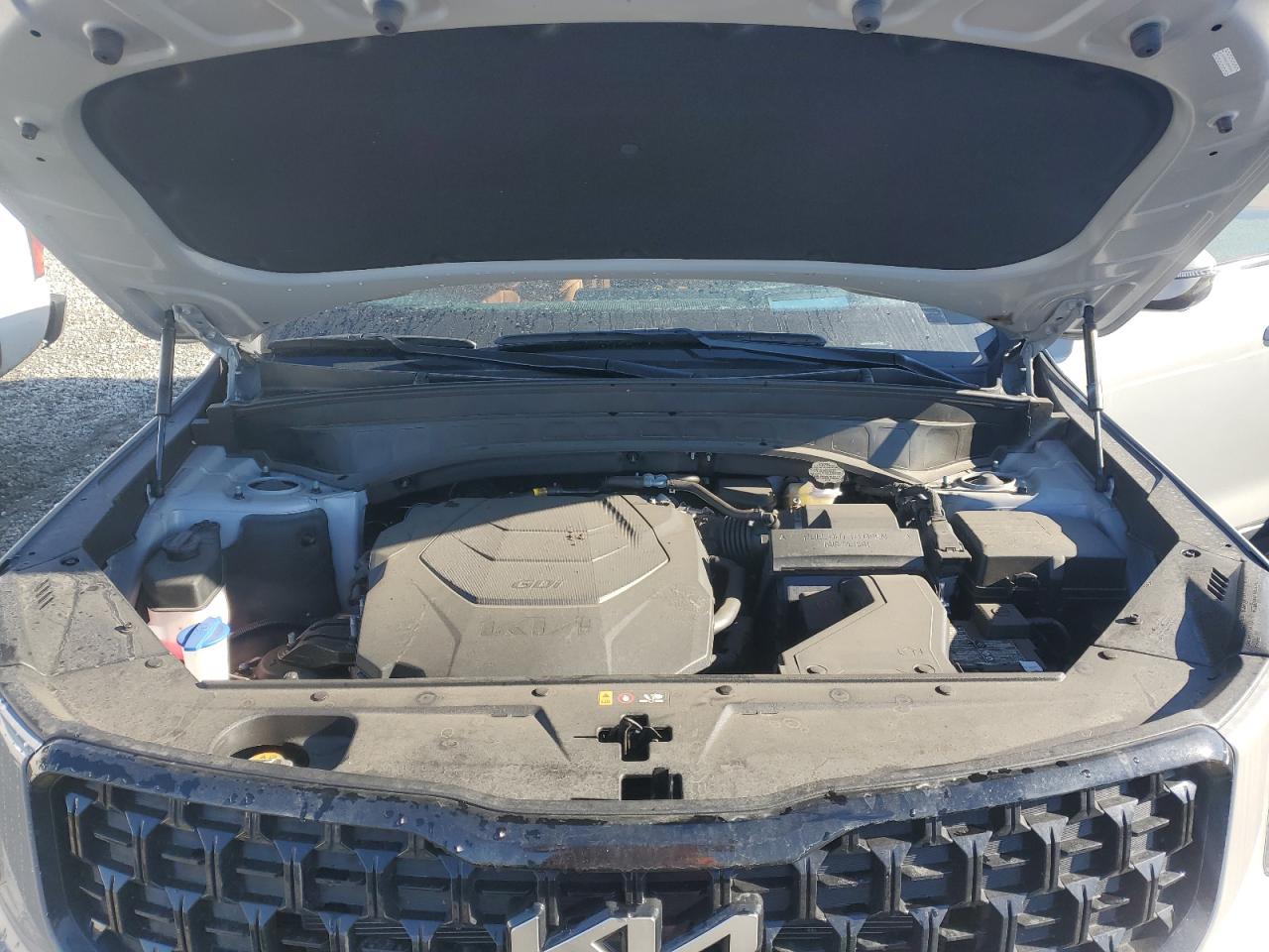 2024 KIA TELLURIDE SX VIN:5XYP5DGC3RG491291