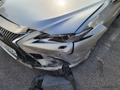 2019 Lexus ES 300 JTHB21B10K2052894 VIN:JTHB21B10K2052894