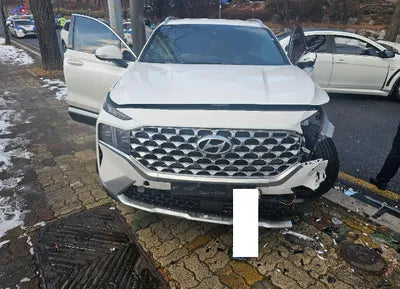 2021 Hyundai Santa FE KMHS381HGMU317770 VIN:KMHS381HGMU317770