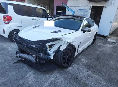 2021 Kia Stinger KNAE551CDMS098940 VIN:KNAE551CDMS098940