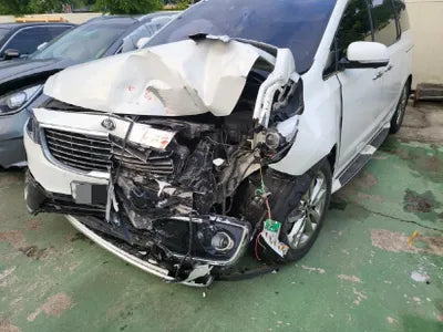 2015 Kia Carnival KNAME81ABFS061664 VIN:KNAME81ABFS061664