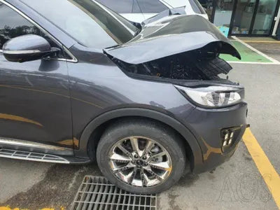 2016 Kia Sorento KNAPK81BDHA310421 VIN:KNAPK81BDHA310421