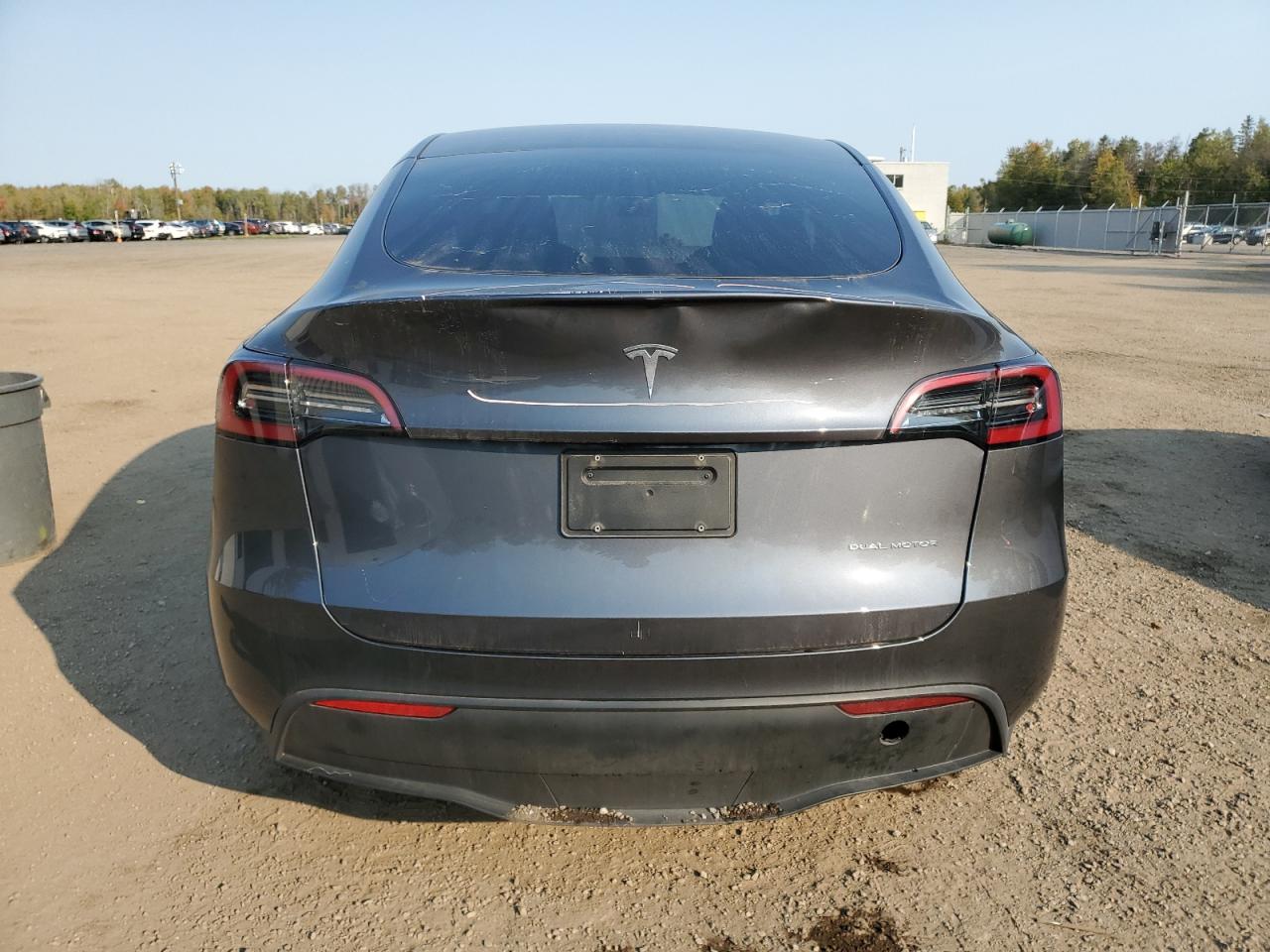 2023 TESLA MODEL Y  VIN:7SAYGDEEXPF774071