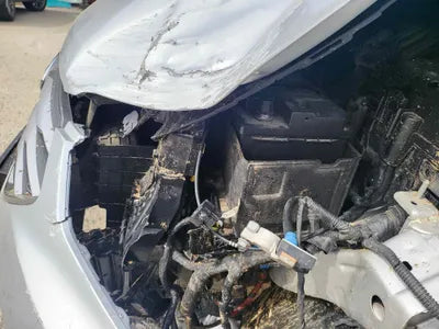 2016 Hyundai Santa FE KMHSW81UBGU673117 VIN:KMHSW81UBGU673117