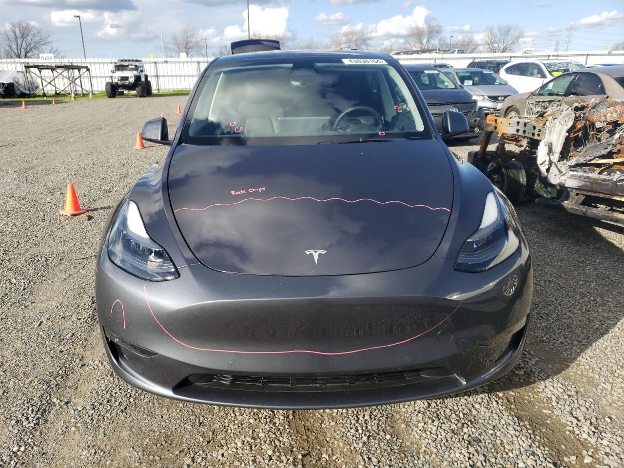 2022 TESLA MODEL Y  VIN:7SAYGDEF0NF493547