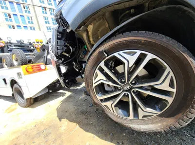 2019 Hyundai Santa FE KMHS381BBKU156411 VIN:KMHS381BBKU156411