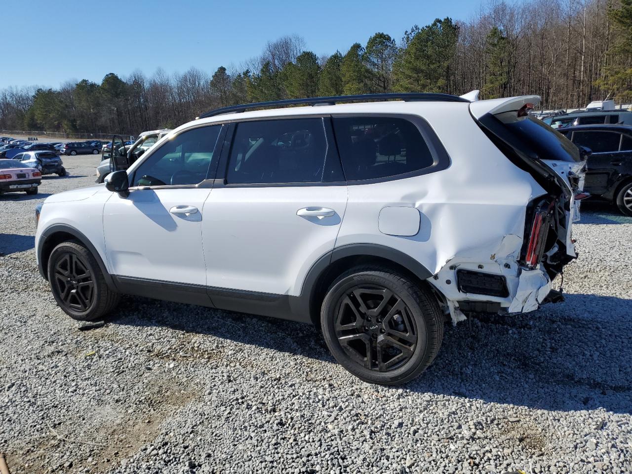 2024 KIA TELLURIDE SX VIN:2GNFLFEK8G6310811