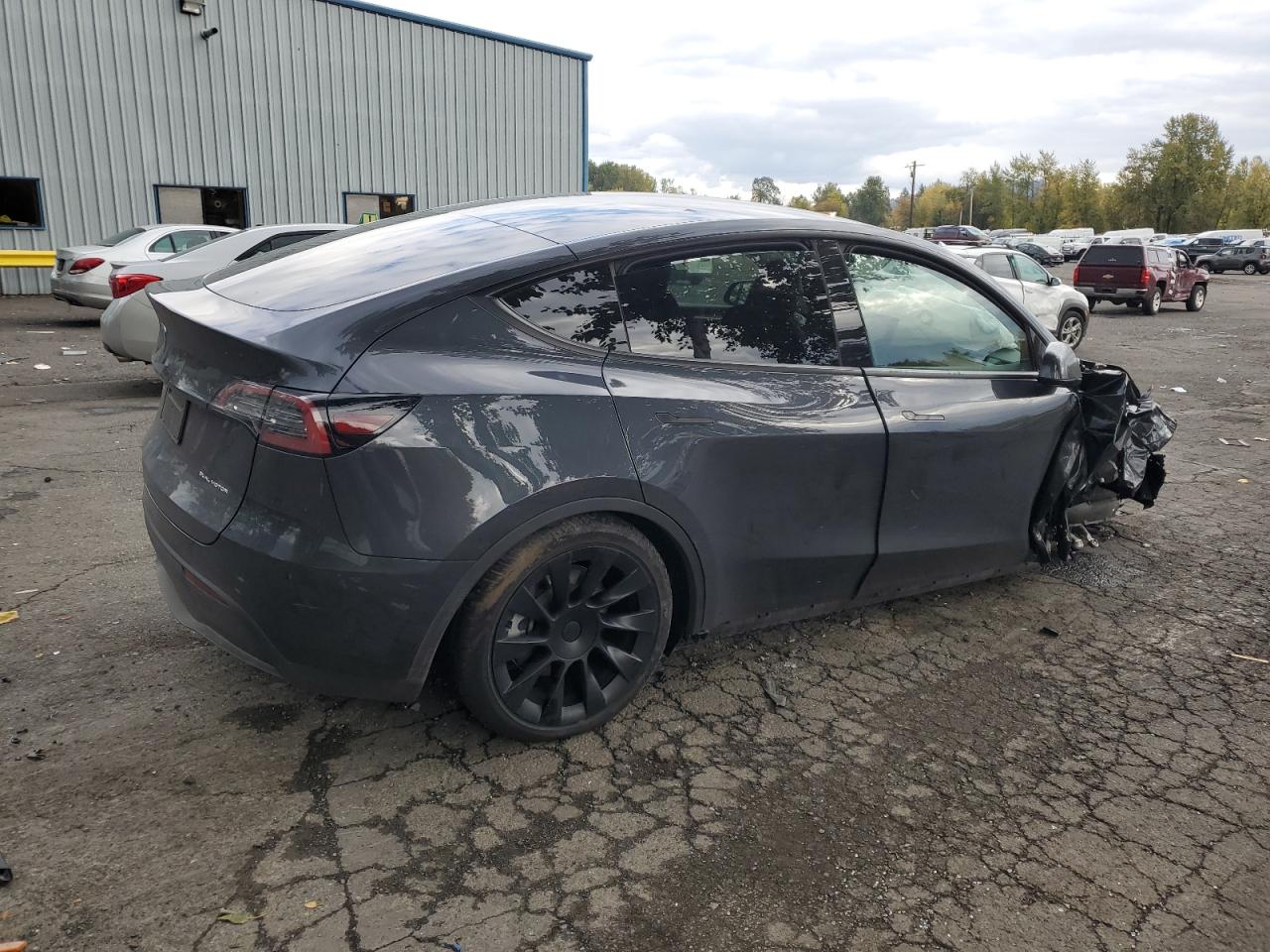 2024 TESLA MODEL Y  VIN:7SAYGAEE8RF004842