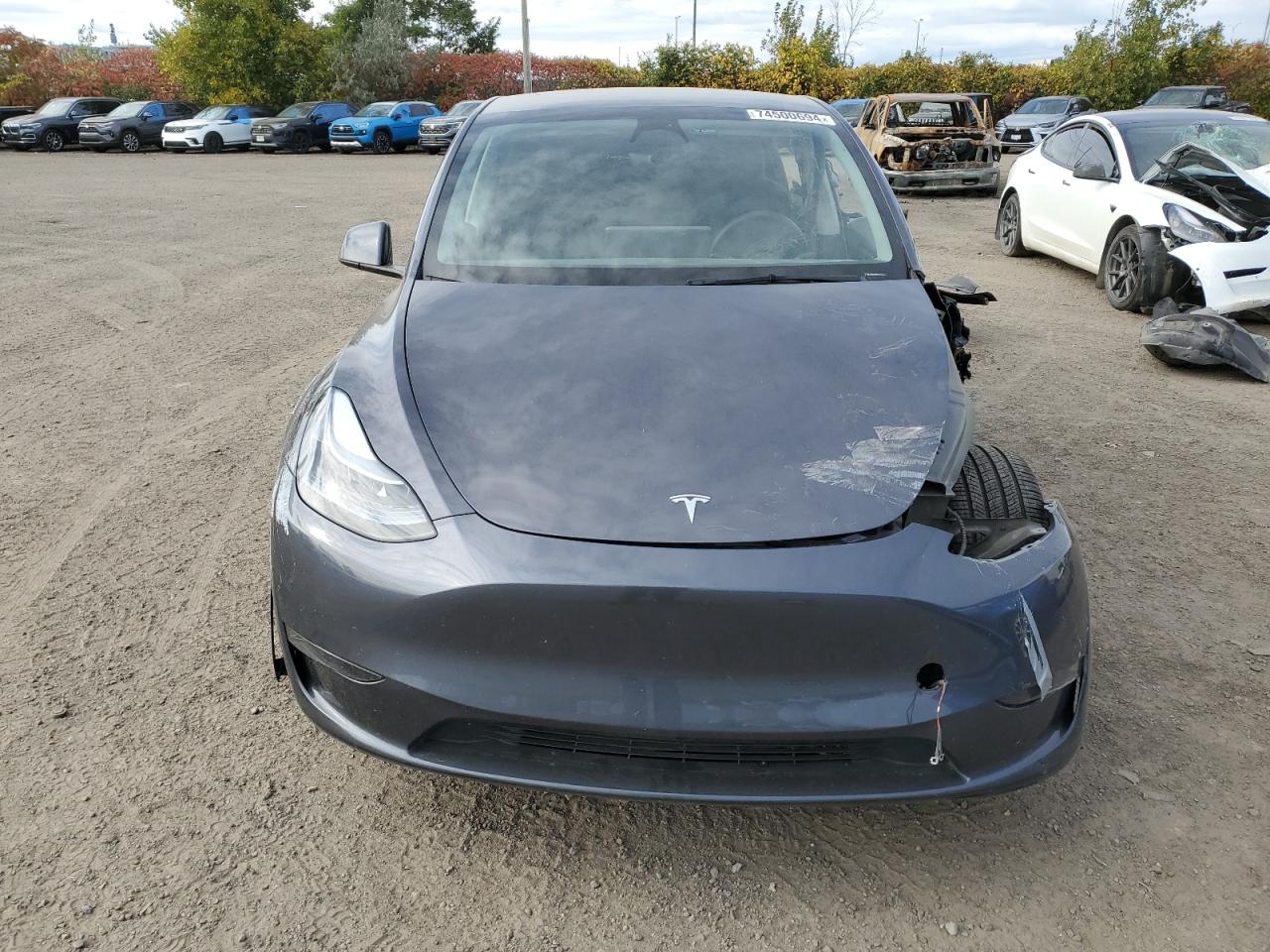 2023 TESLA MODEL Y  VIN:LRWYGDFD1PC221127