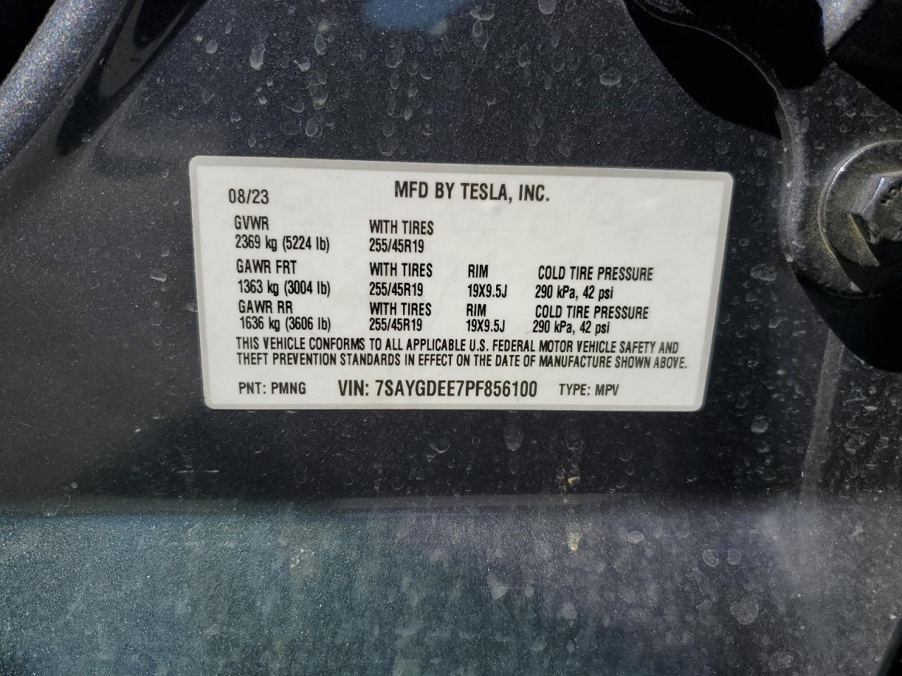 2023 TESLA MODEL Y  VIN:7SAYGDEE7PF856100