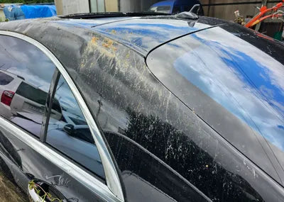 2020 Mercedes-Benz S 560 KL90A4AFGLZ100018 VIN:KL90A4AFGLZ100018