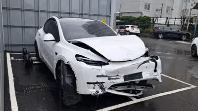2023 Tesla Model Y LRWYGCFS1RC206803 VIN:LRWYGCFS1RC206803