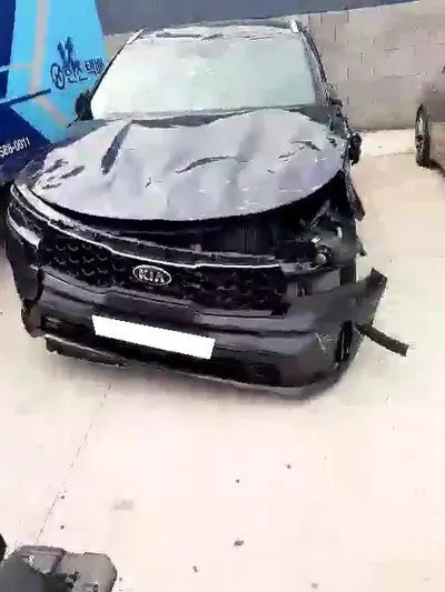 2020 Kia Sorento KNARH81BGMA053875 VIN:KNARH81BGMA053875