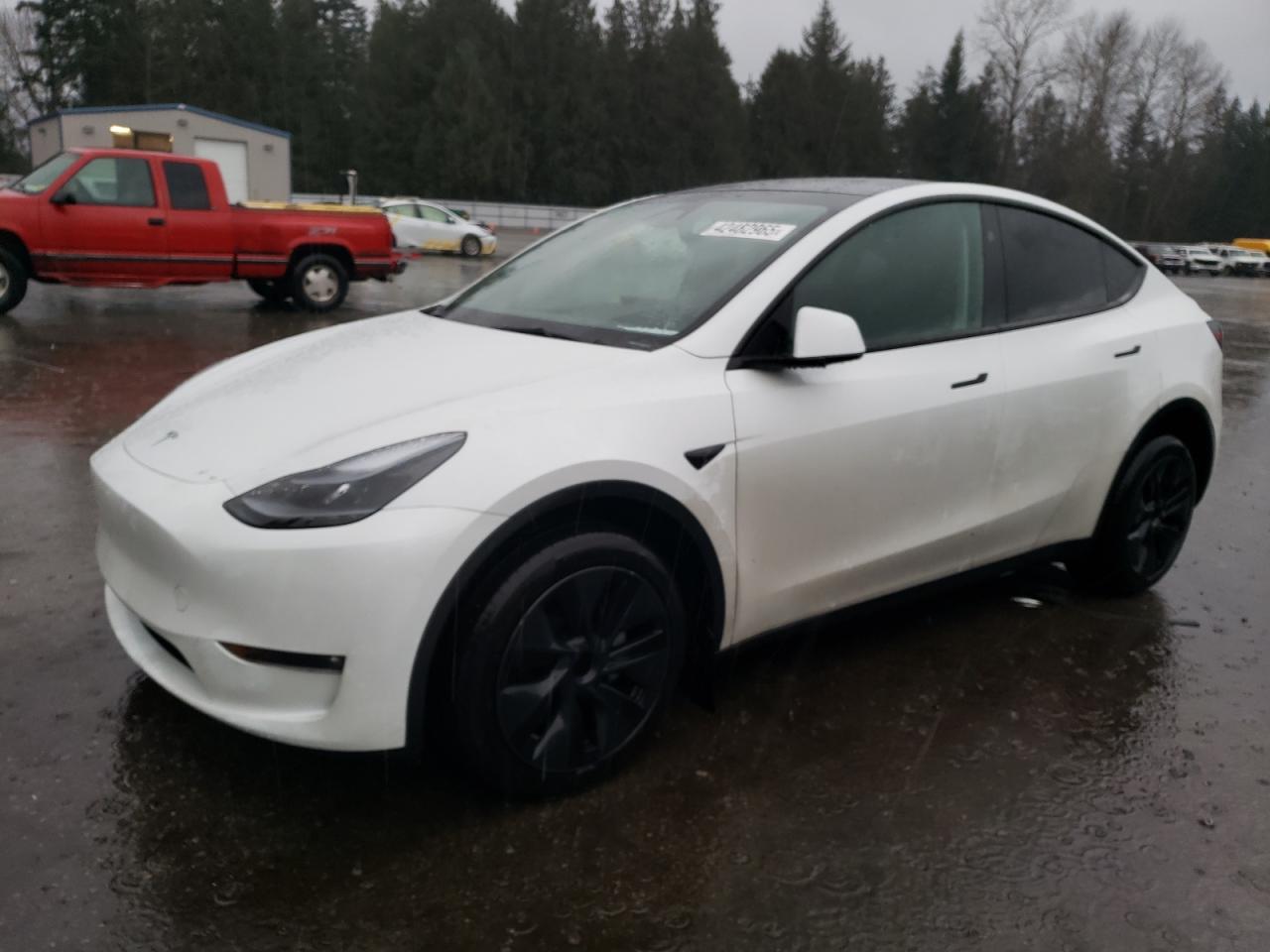 2024 TESLA MODEL Y  VIN:7SAYGDEE8RF193395