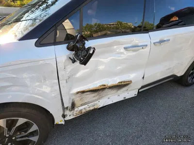 2023 Kia Carnival KNANC813BPS194453 VIN:KNANC813BPS194453