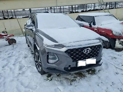 2020 Hyundai Santa FE KMHS381BBLU301410 VIN:KMHS381BBLU301410