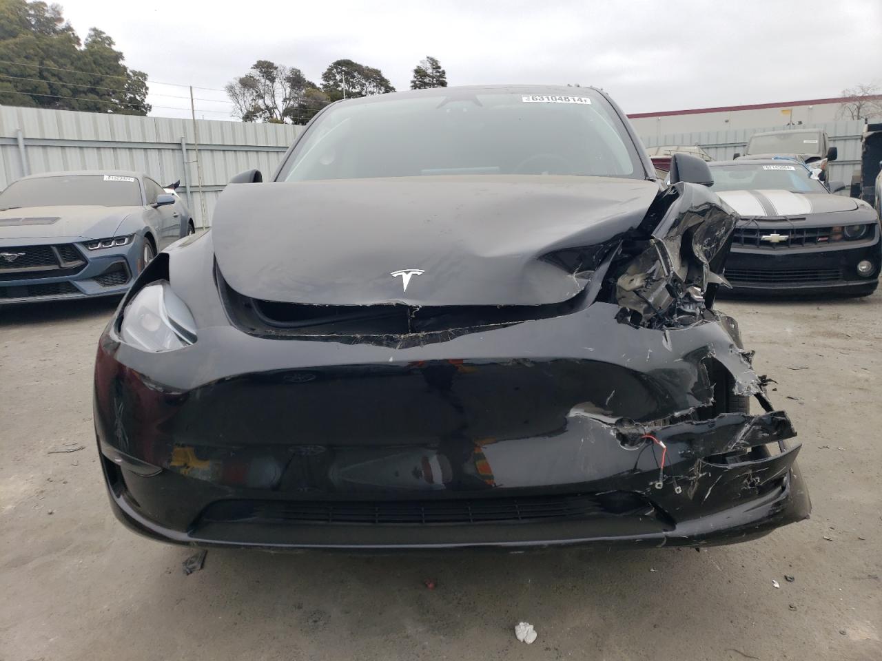 2023 TESLA MODEL Y  VIN:7SAYGAEE6PF899504