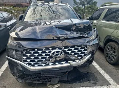 2021 Hyundai Santa FE KMHS381LGMU381390 VIN:KMHS381LGMU381390